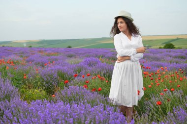 Genç kız lavanta, çiçekler, güzel yaz yatay alanındadır