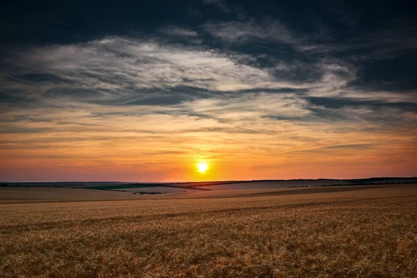 Belo Pôr Sol Está Campo Whetaen Céu Colorido Com Nuvens — Fotografia de Stock