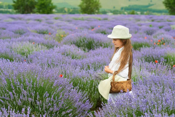 Menina Está Campo Lavanda Belo Retrato Vestido Branco Paisagem Verão — Fotografia de Stock