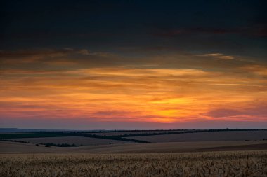 güzel gün batımı ve alan olarak arka plan, renkli bulutlar gökyüzünde