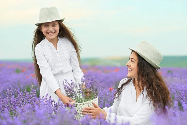 Young Woman Girl Lavender Field Beautiful Summer Landscape Red Poppy — Stock Photo, Image