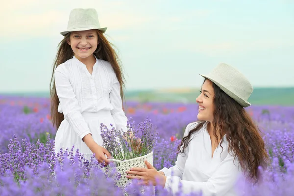 Young Woman Girl Lavender Field Beautiful Summer Landscape Red Poppy — Stock Photo, Image