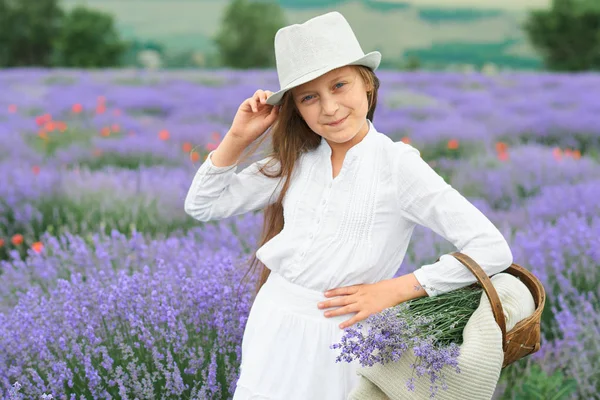 Girl Lavender Field Beautiful Portrait White Dress Summer Landscape — Stock Photo, Image