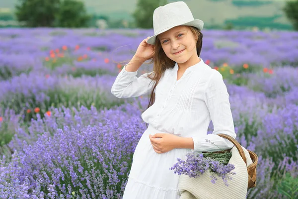 Girl Lavender Field Beautiful Portrait White Dress Summer Landscape — Stock Photo, Image