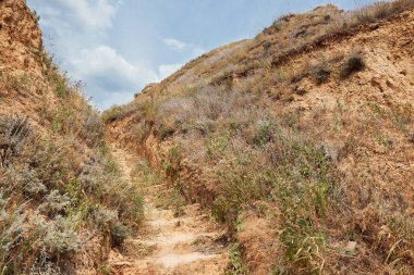 yol yakınındaki yüksek deniz, güzel kıyı peyzaj, seyahat kavramı