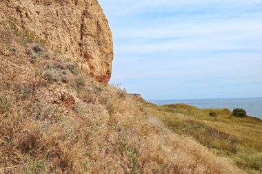 güzel yaz manzara, deniz kenarında yüksek kıyısındaki kır çiçekleri kavramı seyahat