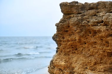 sahilde taş, deniz kenarında güzel vahşi manzara vahşi plaj