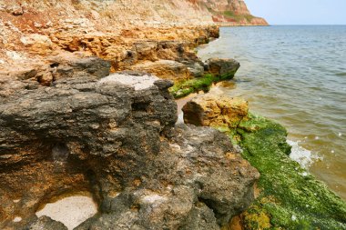 güzel deniz manzara, portre sahilde, Yalı yüksek tepeler, vahşi doğa ile taştan