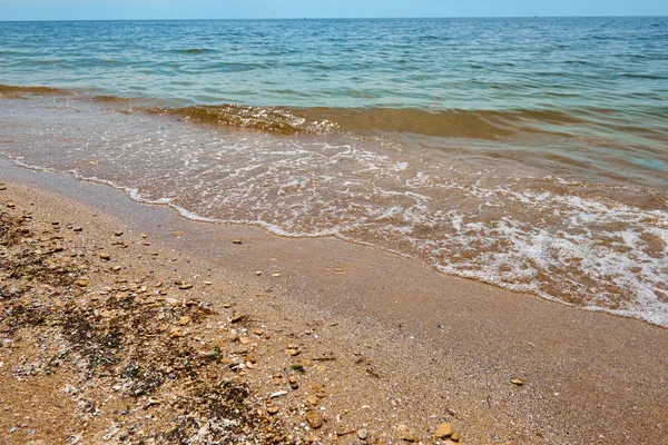 Beautiful Sea Summer Landscape Wild Beach Closeup Sea Coast High — Stock Photo, Image