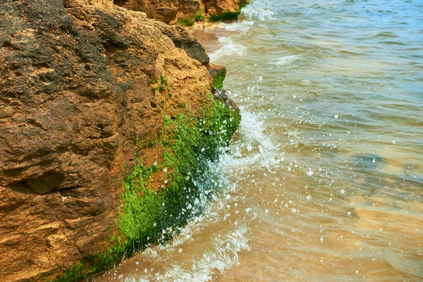 Bellissimo Paesaggio Marino Primo Piano Pietra Sulla Spiaggia Costa Mare — Foto Stock