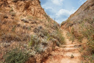 yol yakınındaki yüksek deniz, güzel kıyı peyzaj, seyahat kavramı