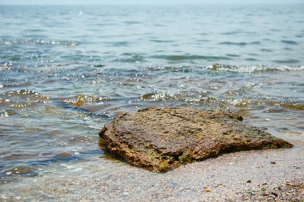 Камни Пляже Красивый Морской Летний Пейзаж Дикий Пляж Крупным Планом — стоковое фото