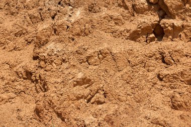 deniz cliff, Kuru kil, Yalı yüksek tepeler, güzel tabiat manzarası ile doku