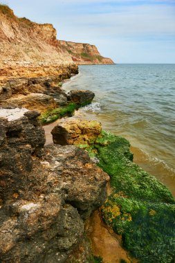 güzel deniz manzara, portre sahilde, Yalı yüksek tepeler, vahşi doğa ile taştan