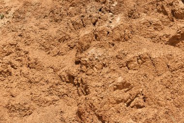 deniz cliff, Kuru kil, Yalı yüksek tepeler, güzel tabiat manzarası ile doku