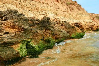 güzel deniz manzara, portre sahilde, Yalı yüksek tepeler, vahşi doğa ile taştan