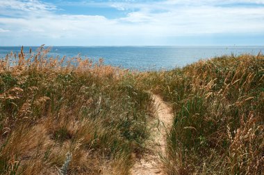 seyahat kavramı deniz, yüksek sahil, güzel yaz manzara yolu