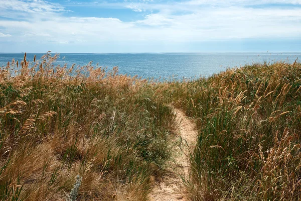 seyahat kavramı deniz, yüksek sahil, güzel yaz manzara yolu