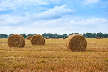 haystacks yaz alanında, güzel manzara