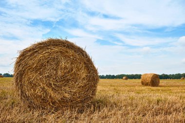 haystacks yaz alanında, güzel manzara