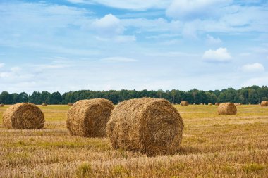 haystacks yaz alanında, güzel manzara