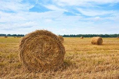 haystacks yaz alanında, güzel manzara