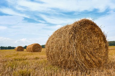 haystacks yaz alanında, güzel manzara