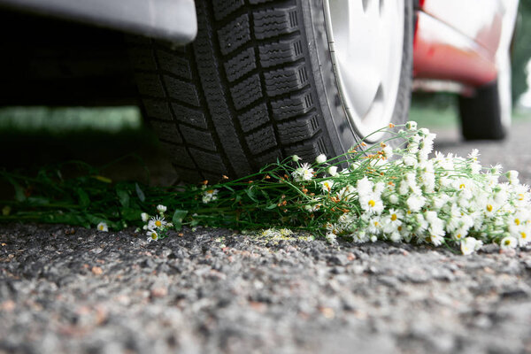bouquet of flowers under the car wheel, concept of a car accident
