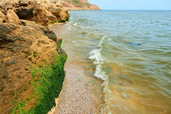 Красивый Морской Пейзаж Крупный План Камня Пляже Морское Побережье Высокими — стоковое фото