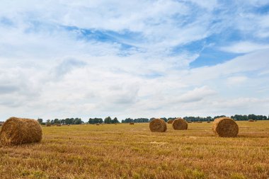 haystacks yaz alanında, güzel manzara