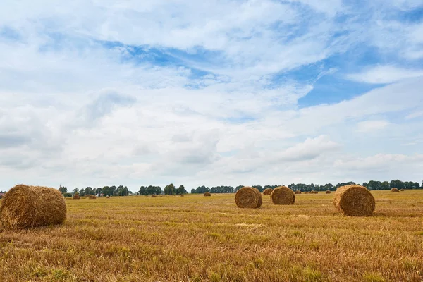 haystacks yaz alanında, güzel manzara