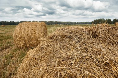 haystacks yaz alanında, güzel manzara