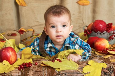 Sonbahar kavramı - çocuk çocuk yalan meyve ve vegatbles, kırmızı elma ve kabak sarı yapraklarda