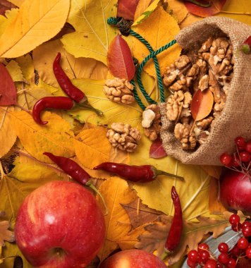 sonbaharda hasat - meyve ve sebzelerin çoğu düşen sarı yapraklar, fındık, elma, pumpkins, rowan ve biber. Sonbahar sezonu için mükemmel bir arka plan.