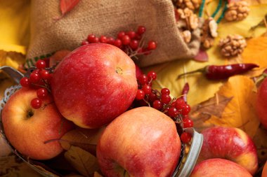 sonbaharda hasat - meyve ve sebzelerin çoğu düşen sarı yapraklar, fındık, elma, pumpkins, rowan ve biber. Sonbahar sezonu için mükemmel bir arka plan.