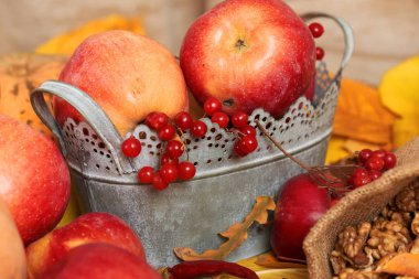 sonbaharda hasat - meyve ve sebzelerin çoğu düşen sarı yapraklar, fındık, elma, pumpkins, rowan ve biber. Sonbahar sezonu için mükemmel bir arka plan.