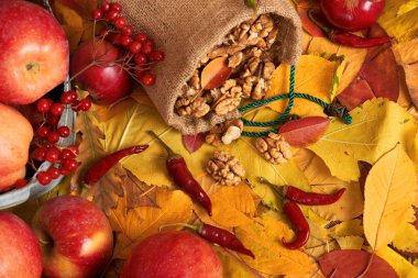 sonbaharda hasat - meyve ve sebzelerin çoğu düşen sarı yapraklar, fındık, elma, pumpkins, rowan ve biber. Sonbahar sezonu için mükemmel bir arka plan.