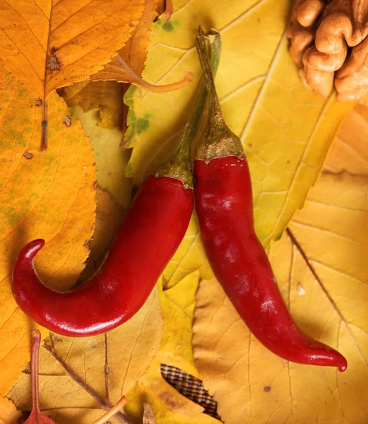 秋季收获 水果和蔬菜上落黄叶 罗恩和胡椒 秋季最佳背景 — 图库照片