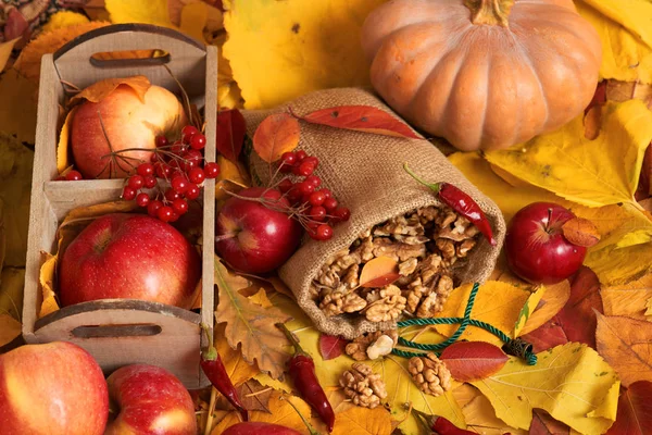 Autumn Harvest Fruits Vegetables Fallen Yellow Leaves Apples Pumpkins Rowan — Stock Photo, Image