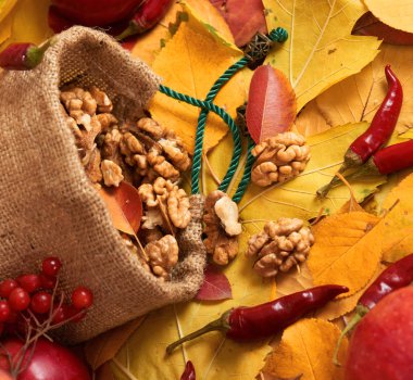 sonbaharda hasat - meyve ve sebzelerin çoğu düşen sarı yapraklar, fındık, elma, pumpkins, rowan ve biber. Sonbahar sezonu için mükemmel bir arka plan.