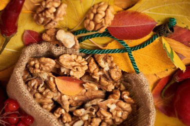 sonbaharda hasat - meyve ve sebzelerin çoğu düşen sarı yapraklar, fındık, elma, pumpkins, rowan ve biber. Sonbahar sezonu için mükemmel bir arka plan.