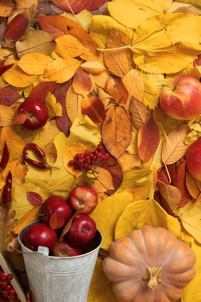 Autumn Harvest Fruits Vegetables Fallen Yellow Leaves Apples Pumpkins Rowan — Stock Photo, Image