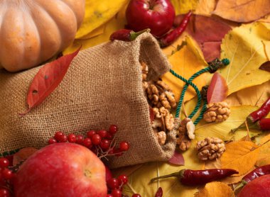 sonbaharda hasat - meyve ve sebzelerin çoğu düşen sarı yapraklar, fındık, elma, pumpkins, rowan ve biber. Sonbahar sezonu için mükemmel bir arka plan.