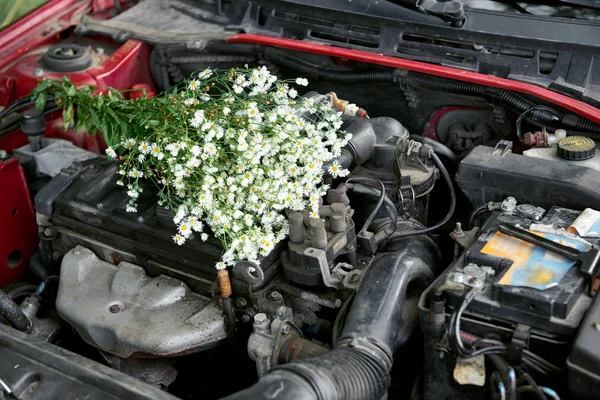 壊れた車のボンネットの下の花の花束 — ストック写真