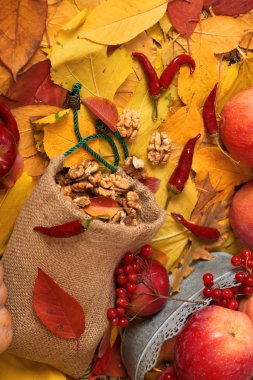 sonbaharda hasat - meyve ve sebzelerin çoğu düşen sarı yapraklar, fındık, elma, pumpkins, rowan ve biber. Sonbahar sezonu için mükemmel bir arka plan.