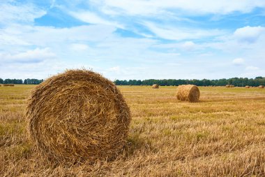 haystacks yaz alanında, güzel manzara