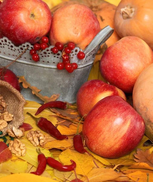 Autumn Harvest Fruits Vegetables Fallen Yellow Leaves Nuts Apples Pumpkins — Stock Photo, Image