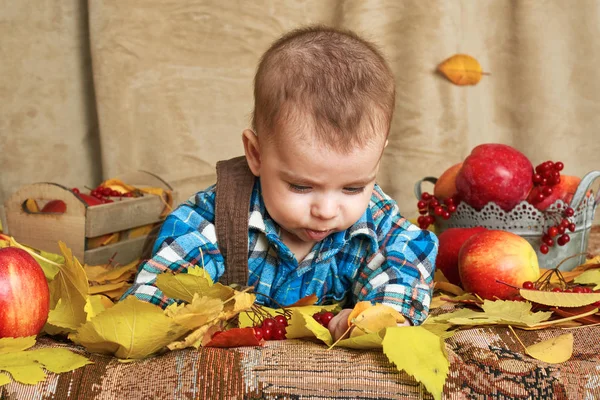 Conceito Outono Menino Mentira Folhas Amarelas Com Frutas Legumes Maçãs — Fotografia de Stock