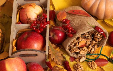 sonbaharda hasat - meyve ve sebzelerin çoğu düşen sarı yapraklar, elma, pumpkins, rowan ve biber. Sonbahar sezonu için mükemmel bir arka plan.