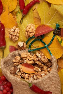 sonbaharda hasat - meyve ve sebzelerin çoğu düşen sarı yapraklar, fındık, elma, pumpkins, rowan ve biber. Sonbahar sezonu için mükemmel bir arka plan.
